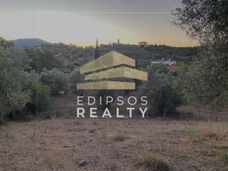 Αγροτεμάχια 5.475 τ.μ. για πώληση, Εύβοια, Αιδηψός-thumb-6