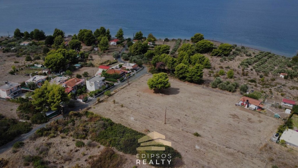 Αγροτεμάχια 4.800 τ.μ. για πώληση, Εύβοια, Λιχάδα