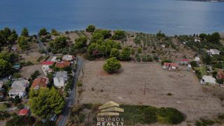 Αγροτεμάχια 4.800 τ.μ. για πώληση, Εύβοια, Λιχάδα-thumb-7