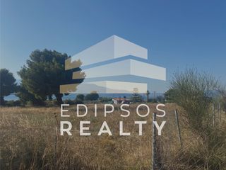 Αγροτεμάχια 4.800 τ.μ. για πώληση, Εύβοια, Λιχάδα-thumb-5