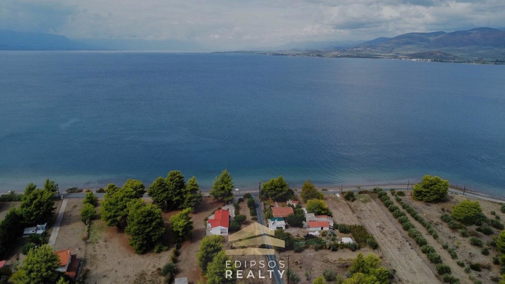 Αγροτεμάχια 4.800 τ.μ. προς πώληση, Λιχάδα