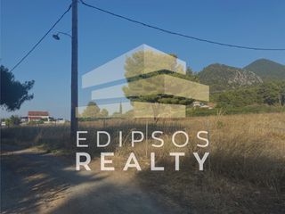 Αγροτεμάχια 4.800 τ.μ. για πώληση, Εύβοια, Λιχάδα-thumb-6