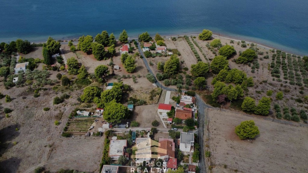 Αγροτεμάχια 4.800 τ.μ. προς πώληση, Λιχάδα