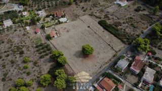 Αγροτεμάχια 4.800 τ.μ. για πώληση, Εύβοια, Λιχάδα-thumb-1