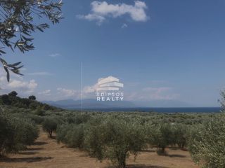 Αγροτεμάχια 5.582 τ.μ. για πώληση