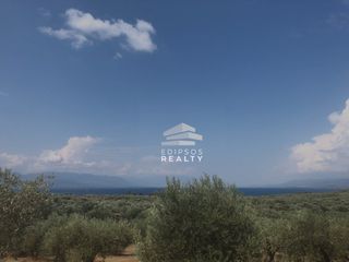 Αγροτεμάχια 5.582 τ.μ. για πώληση, Εύβοια, Λιχάδα-thumb-2
