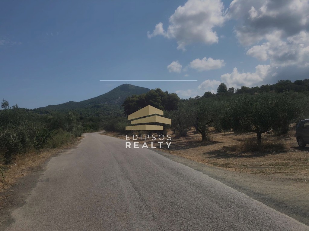 Αγροτεμάχια 5.582 τ.μ. προς πώληση, Κάβος Λιχάδας