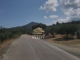 Αγροτεμάχια 5.582 τ.μ. για πώληση, Εύβοια, Λιχάδα-thumb-4