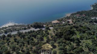 Αγροτεμάχια 4.033 τ.μ. για πώληση, Εύβοια, Αιδηψός-thumb-5