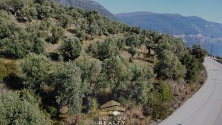 Αγροτεμάχια 4.033 τ.μ. για πώληση, Εύβοια, Αιδηψός-thumb-7