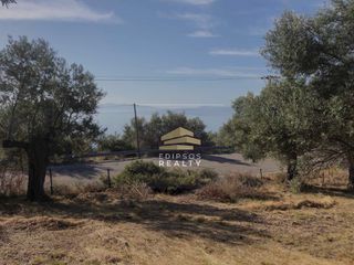 Αγροτεμάχια 4.033 τ.μ. για πώληση, Εύβοια, Αιδηψός-thumb-12