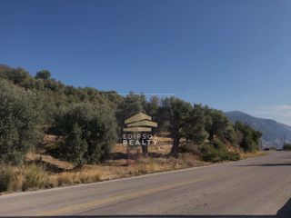 Αγροτεμάχια 4.033 τ.μ. για πώληση, Εύβοια, Αιδηψός-thumb-2