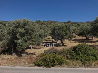 Αγροτεμάχια 4.033 τ.μ. για πώληση, Εύβοια, Αιδηψός-thumb-3