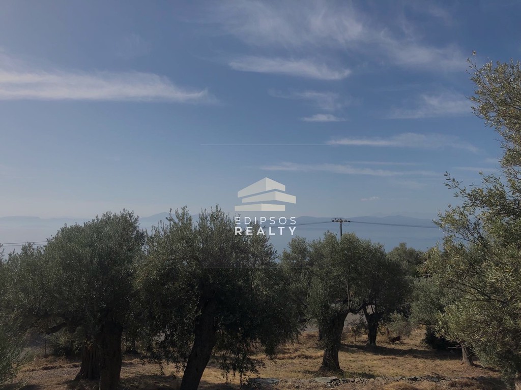 Αγροτεμάχια 4.033 τ.μ. προς πώληση, Ήλια Αιδηψού