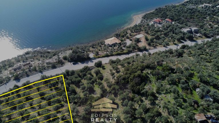 Αγροτεμάχια 4.033 τ.μ. για πώληση, Εύβοια, Αιδηψός