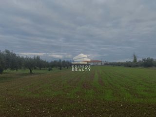 Αγροτεμάχια 10.005 τ.μ. για πώληση, Εύβοια, Ιστιαία-thumb-6