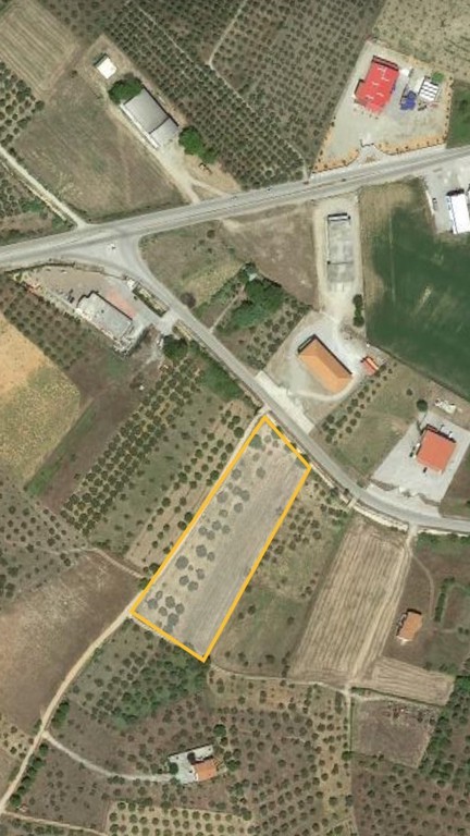 Αγροτεμάχια 10.005 τ.μ. προς πώληση, Ιστιαία