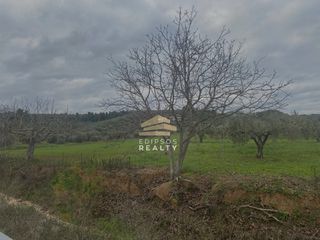 Αγροτεμάχια 10.005 τ.μ. για πώληση, Εύβοια, Ιστιαία-thumb-8