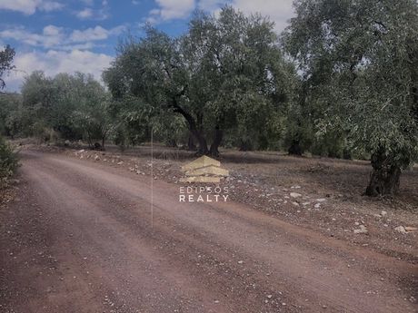 Αγροτεμάχια 14.286 τ.μ. για πώληση