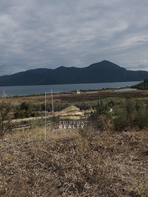 Αγροτεμάχια 8.133 τ.μ. προς πώληση, Πελασγία