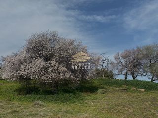 Οικόπεδο 575 τ.μ. για πώληση, Εύβοια, Αιδηψός-thumb-3