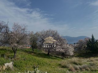 Οικόπεδο 575 τ.μ. για πώληση, Εύβοια, Αιδηψός-thumb-1