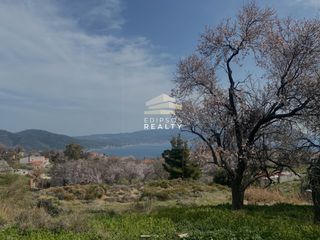 Οικόπεδο 575 τ.μ. για πώληση
