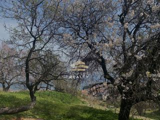 Οικόπεδο 575 τ.μ. για πώληση, Εύβοια, Αιδηψός-thumb-8