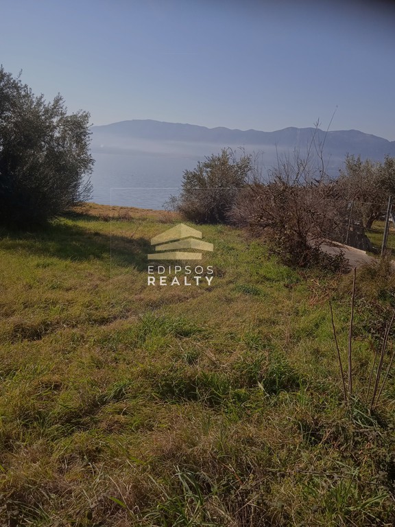 Οικόπεδο 1.000 τ.μ. προς πώληση, Άγιος Γεώργιος Λιχάδας