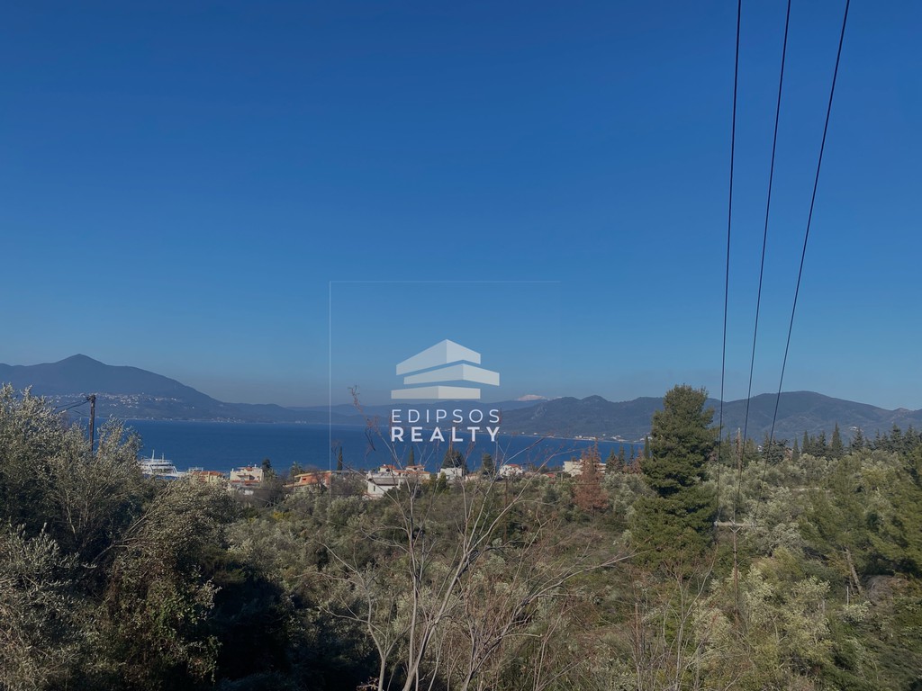 Αγροτεμάχια 4.207 τ.μ. προς πώληση, Λουτρά Αιδηψού