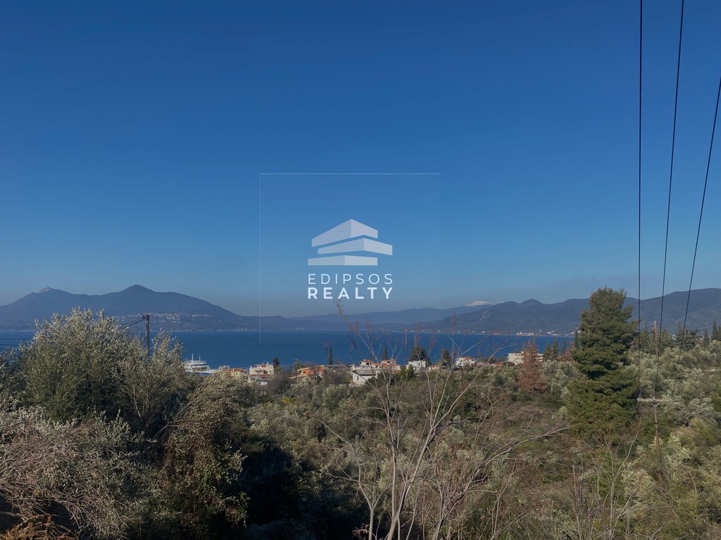 Αγροτεμάχια 4.207 τ.μ. προς πώληση, Λουτρά Αιδηψού