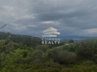 Οικόπεδο 1.700 τ.μ. για πώληση, Εύβοια, Αιδηψός-thumb-6