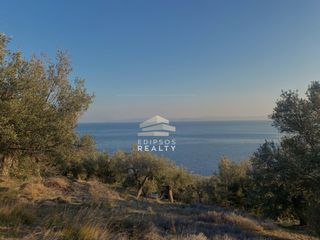 Αγροτεμάχια 9.417 τ.μ. για πώληση