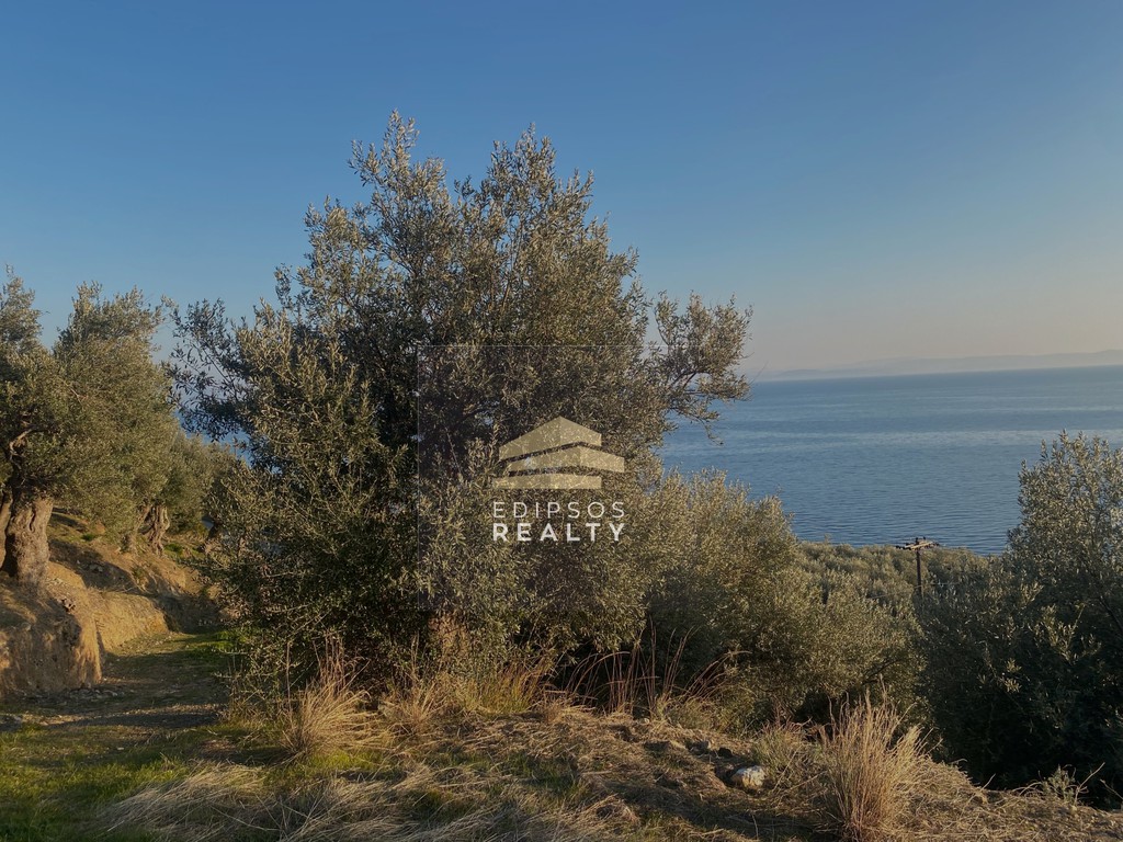 Αγροτεμάχια 9.417 τ.μ. προς πώληση, Ήλια Αιδηψού