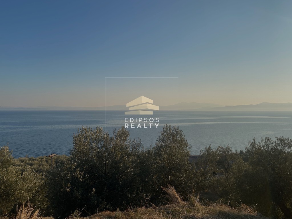 Αγροτεμάχια 9.417 τ.μ. προς πώληση, Ήλια Αιδηψού