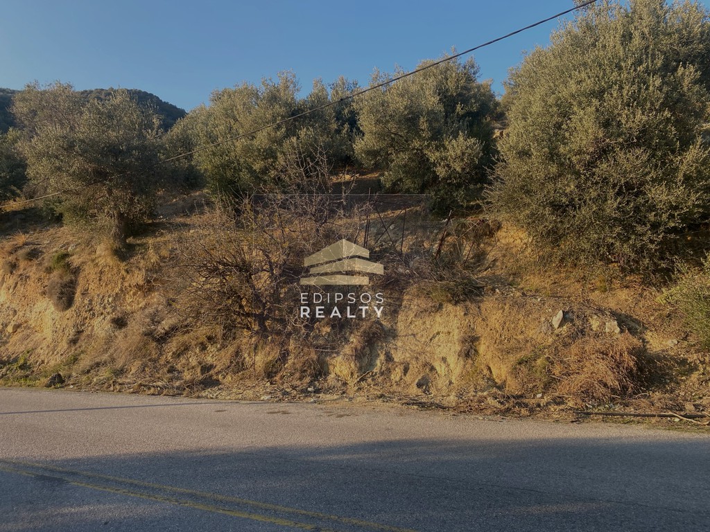 Αγροτεμάχια 9.417 τ.μ. προς πώληση, Ήλια Αιδηψού