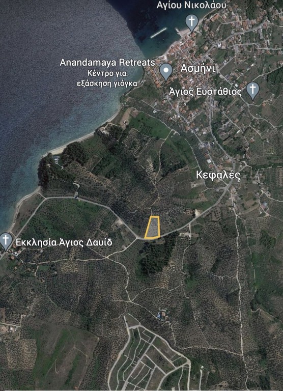 Αγροτεμάχια 6.000 τ.μ. προς πώληση, Ασμήνιο