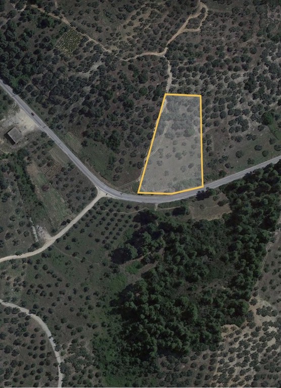 Αγροτεμάχια 6.000 τ.μ. προς πώληση, Ασμήνιο