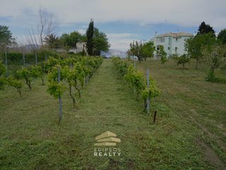 Βίλλα 250 τ.μ. για πώληση, Εύβοια, Αρτεμίσιο-thumb-18
