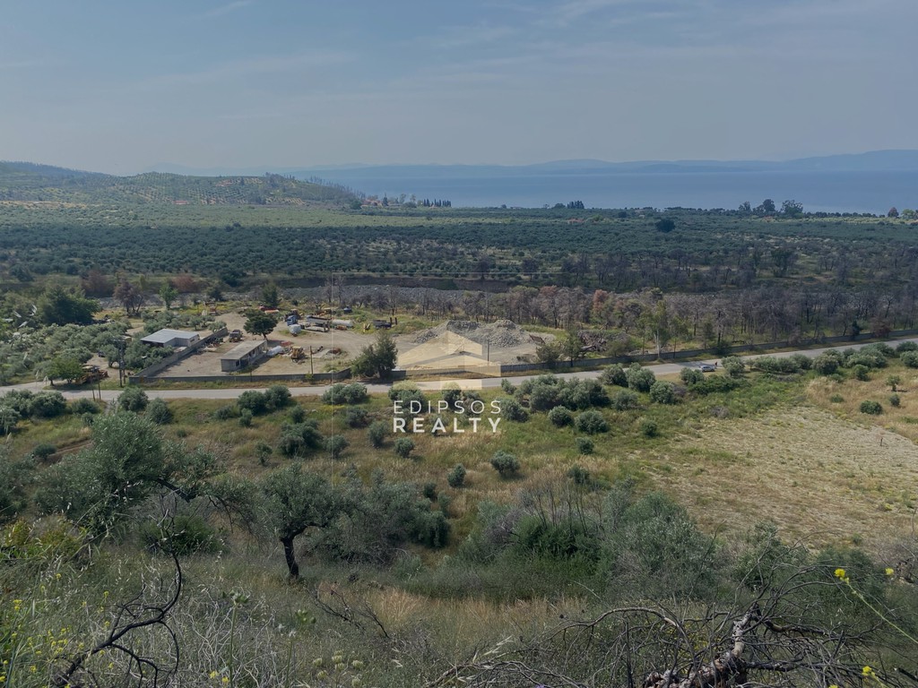Αγροτεμάχια 17.550 τ.μ. προς πώληση, Ροβιές