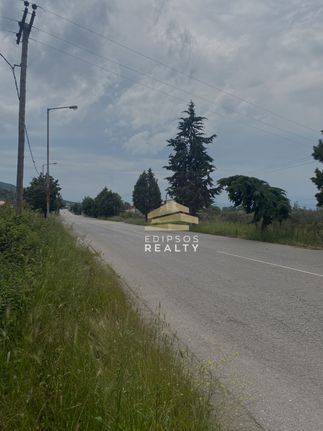 Οικόπεδο 4.250 τ.μ. για πώληση, Εύβοια, Αιδηψός