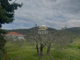Οικόπεδο 4.250 τ.μ. για πώληση, Εύβοια, Αιδηψός-thumb-3