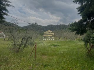Οικόπεδο 4.250 τ.μ. για πώληση, Εύβοια, Αιδηψός-thumb-4