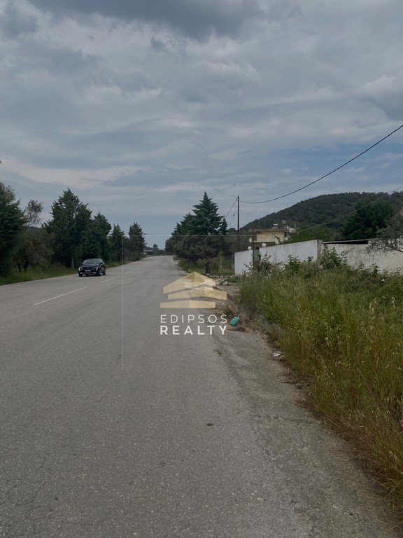 Οικόπεδο 4.250 τ.μ. προς πώληση, Λουτρά Αιδηψού