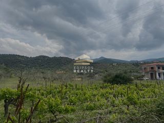 Οικόπεδο 4.250 τ.μ. για πώληση, Εύβοια, Αιδηψός-thumb-2