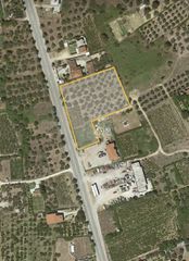 Οικόπεδο 4.250 τ.μ. για πώληση, Εύβοια, Αιδηψός-thumb-5