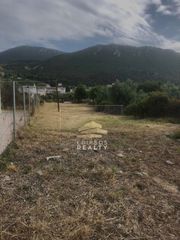 Οικόπεδο 1.052 τ.μ. για πώληση, Εύβοια, Λιχάδα-thumb-1