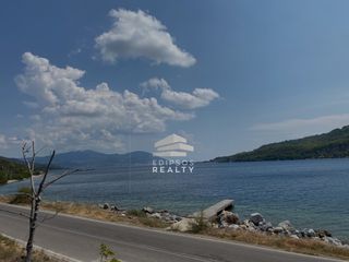 Οικόπεδο 2.695 τ.μ. για πώληση, Εύβοια, Αιδηψός-thumb-14