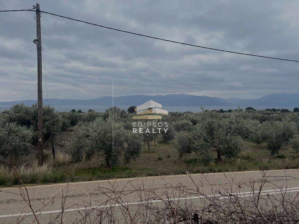 Αγροτεμάχια 2.200 τ.μ. προς πώληση, Αιδηψός