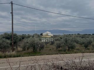 Αγροτεμάχια 2.200 τ.μ. για πώληση, Εύβοια, Αιδηψός-thumb-2